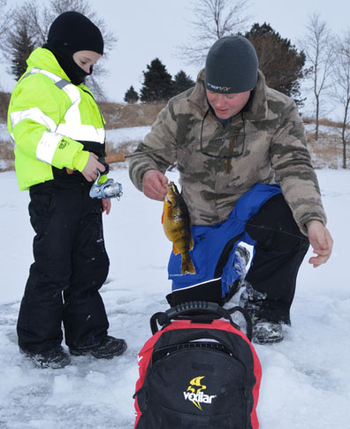 Ice Perch